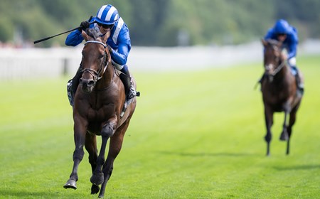 Baaeed (GB) - Horse Profile - BloodHorse