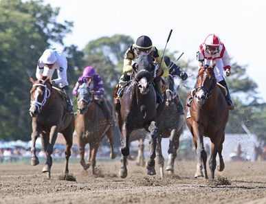 Informative - Horse Profile - BloodHorse Informative - Horse Profile - BloodHorse