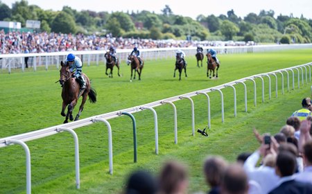Quickthorn romps home in the Lonsdale Cup at York Racecourse