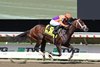 #4 Provocateur with Jockey Jairo Rendon riding won the $100,000 Jersey Shore Sakes at Monmouth Park Racetrack in Oceanport, NJ on Saturday August 6, 2022. Photo By Bill Denver/EQUI-PHOTO