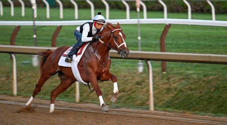 Rich Strike - Horse Profile - BloodHorse