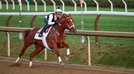 Rich Strike Arrives at Mott’s Saratoga Stable