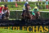 Snap Decision #6 with jockey Graham Walters goes flag to wire to win the 81st running of the Jonathan Sheppard  at the Saratoga Race Course Wednesday Aug, 17 2022 in Saratoga Springs N.Y.  Photo Special to the Times Union by Skip Dickstein