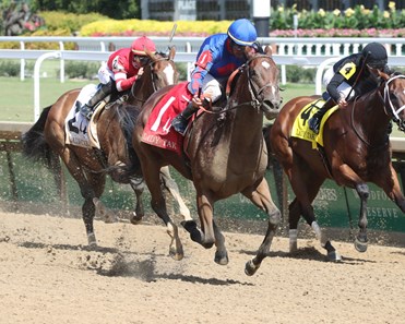 Bell's the One - Horse Profile - BloodHorse