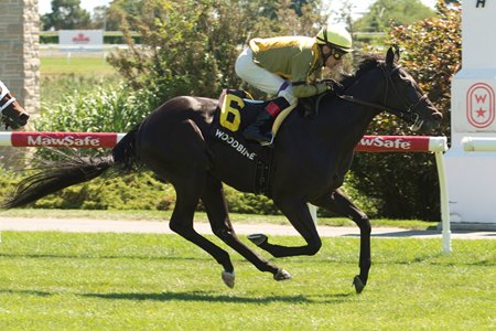 Silent Runner wins the Lake Huron Stakes at Woodbine