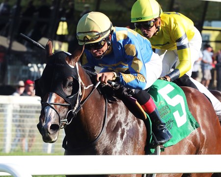 Private Creed wins the the Juvenile Sprint Stakes at Kentucky Downs