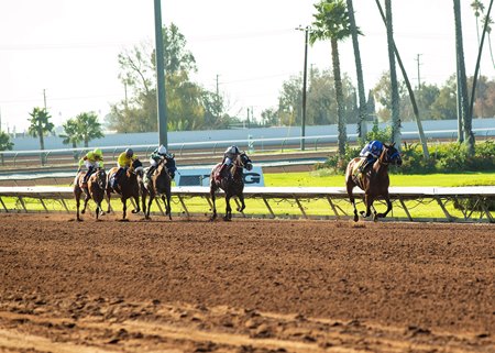 Racing at Los Alamitos