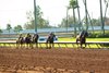 #4 GANADORA (Juan Hernandez)
$75,000 Dark Mirage Stakes
Owner: Baoma Corp
Trainer: Bob Baffert
Sunday, September 18, 2022
Los Alamitos Race Course
Cypress CA.
&#169; BENOIT PHOTO