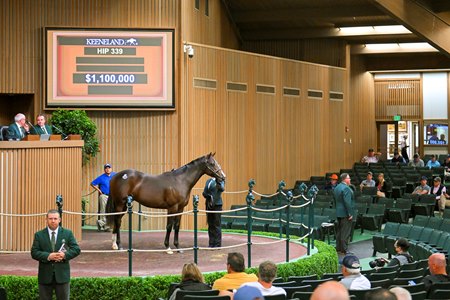 The Justify colt consigned as Hip 339 in the ring at the Keeneland September Sale