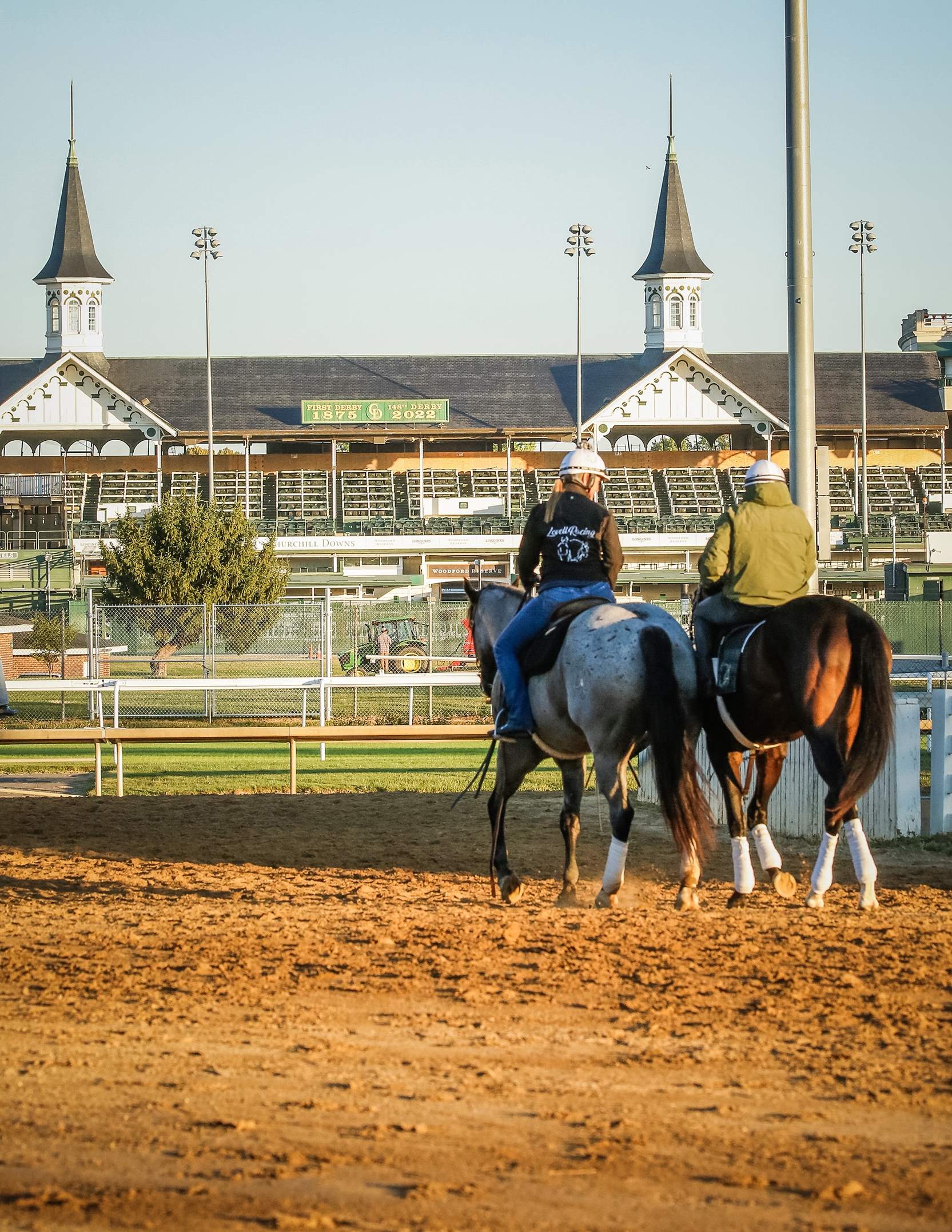 Damon's Mound - Horse Profile - BloodHorse