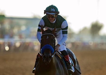 Flightline Oct. 29 at Keeneland 