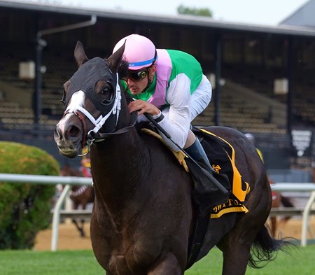 Set Piece wins the Baltimore/Washington International Turf Cup Stakes at Pimlico Race Course