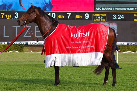 Anamoe after his victory in the 2022 George Main Stakes at Randwick Racecourse