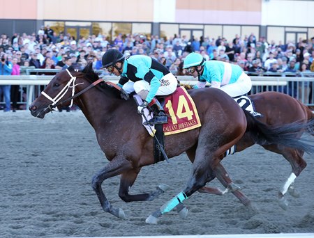 Scaramouche wins the 2022 Gallant Bob Stakes at Parx Racing