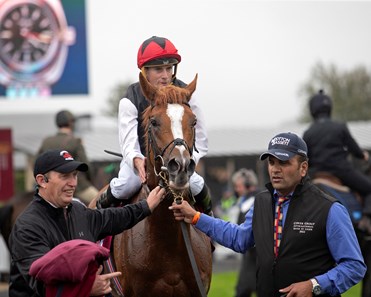 Porta Fortuna (IRE) - Horse Profile - BloodHorse