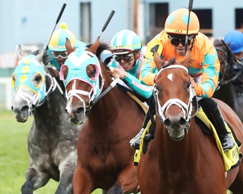 Horse Tracks: Implosion edition - Mile High Report