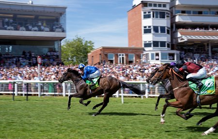 Minzaal wins the 2022 Hackwood Stakes at Newbury Racecourse