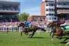 Minzaal (Jim Crowley) wins the Hackwood Stakes
Newbury 16.7.22 Pic: Edward Whitaker