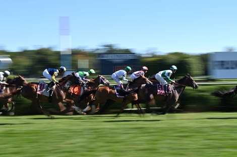 Tips, Trends for Betting Upcoming Saratoga Meeting