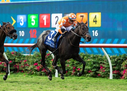 Interface de jeu Stakes France