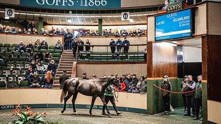 The No Nay Never filly consigned as Lot 93 in the ring at the Goffs Orby Sale