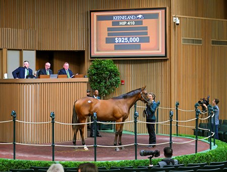 The Curlin colt consigned as Hip 410 in the ring at the Keeneland September Sale