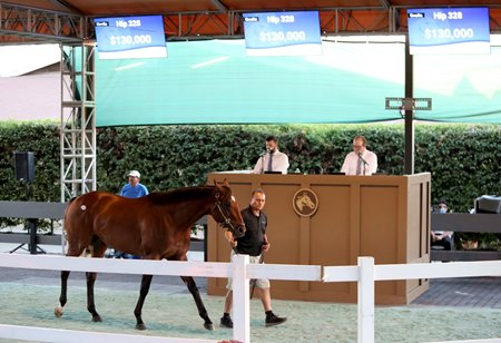 A horse in the ring at Fairplex