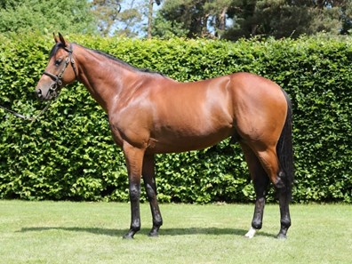 Breeders' Cup Winner Twilight Gleaming Heads Mamzelle - BloodHorse