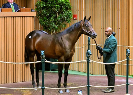 The City of Light colt consigned as Hip 73 in the ring at the Keeneland September Sale