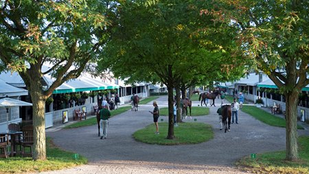 Yearlings are shown at Keeneland