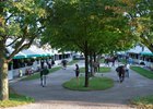 morning sale scene as yearlings are shown
Scenes at Keeneland September Sale on Sept. 9, 2022. 


