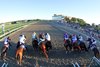 The start of the 41st Running of the Pennsylvania Derby (GI) at Parx on September 24, 2022. Photo By: Chad B. Harmon