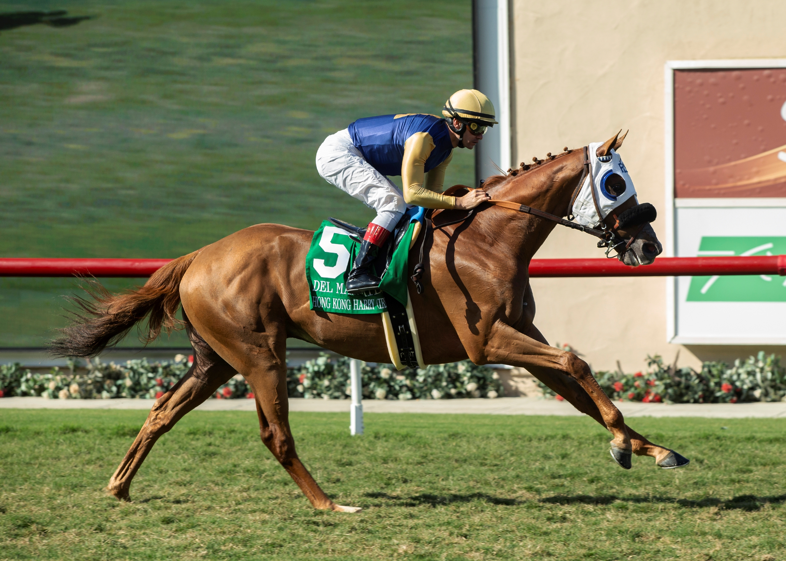 Hong Kong Harry, Gold Phoenix Take Del Mar Turf Stakes - BloodHorse