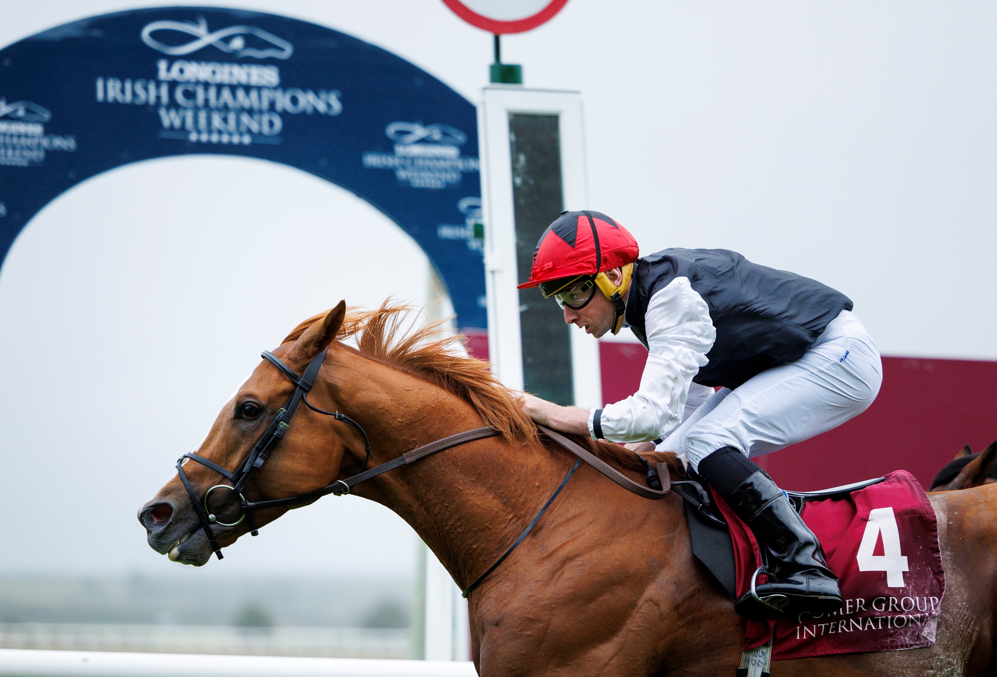 O Brien Seeks First Prix du Cadran Win With Kyprios BloodHorse