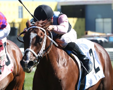 Danse Macabre wins the Untapable Stakes at Kentucky Downs