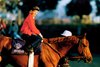 1986 Kentucky Derby winner Ferdinand, with Bill Shoemaker aboard.