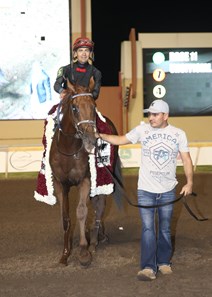 Rattle N Roll - Horse Profile - BloodHorse