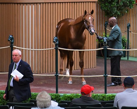 The Omaha Beach colt consigned as Hip 1370 in the ring at the Keeneland September Sale