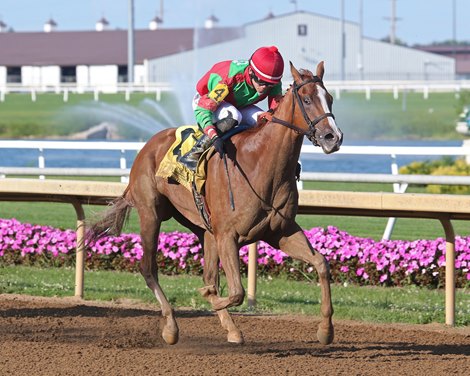 Forever D'oro Sires First Stakes Winner - Bloodhorse