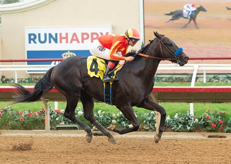 Speed Boat Beach switches to turf after his record-setting debut on the main track at Del Mar 