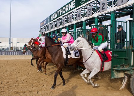 Horses break from the gate at Hawthorne Race Course