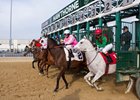 COWGIRL CALLIE (2, Outside) beating ROYAL&#39;S POSITION (6) in the Pat Whitworth Illinois Debutante December 2, 2017 at Hawthorne Racecourse.  Diego Sanchez up. $50,000