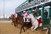 COWGIRL CALLIE (2, Outside) beating ROYAL&#39;S POSITION (6) in the Pat Whitworth Illinois Debutante December 2, 2017 at Hawthorne Racecourse.  Diego Sanchez up. $50,000