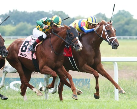 Red Knight wins the Kentucky Turf Cup Stakes at Kentucky Downs