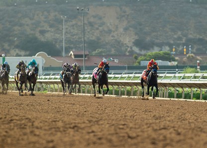 Cave Rock - Horse Profile - BloodHorse