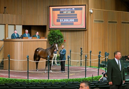 Imagination sells for $1,050,000 at the 2022 Keeneland September Yearling Sale
