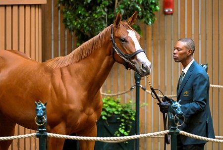 The Justify filly consigned as Hip 28 in the ring at the Keeneland September Sale