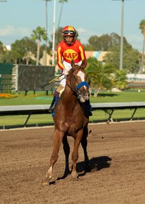 Hard to Figure after winning the 2022 Capote Stakes at Los Alamitos Race Course