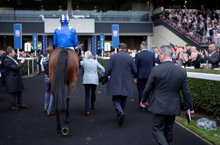 Baaeed (GB) - Horse Profile - BloodHorse