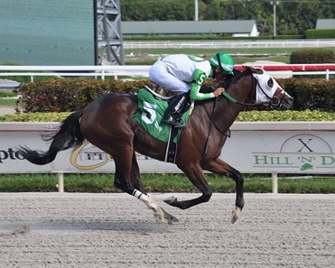 Turbo - Horse Profile - BloodHorse